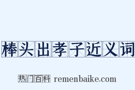 棒头出孝子近义词是什么意思的图片
